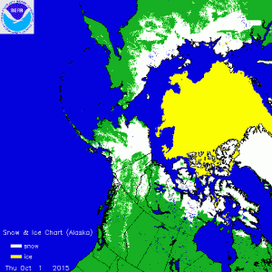 snowcover1001