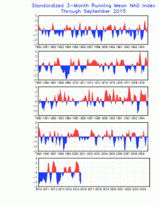 NAO LONG TERM INDEX