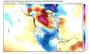 cansips_T2ma_namer_1