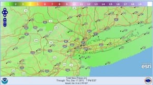 springtime in december