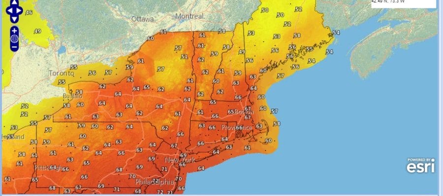 florida christmas in New York