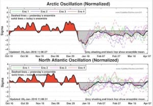 confusing JOESTRADAMUS