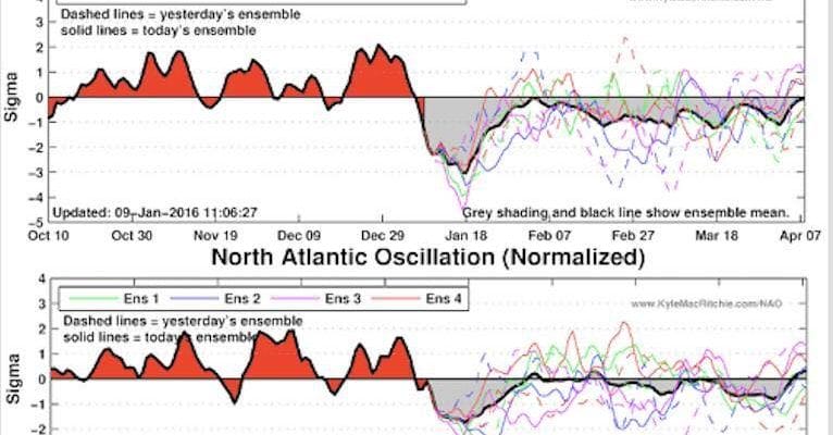 confusing JOESTRADAMUS