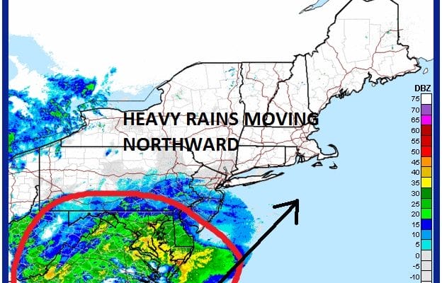 heavy rains gusty winds