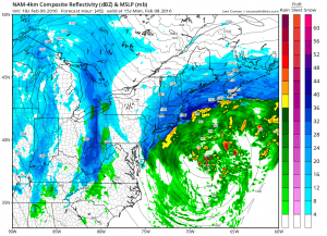 nam45 NAM RGEM Video Analysis