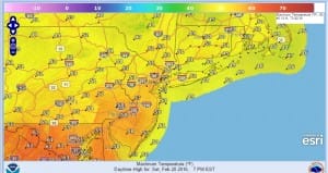 Snow Burst Springtime