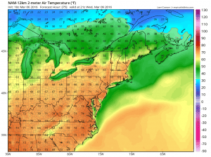 spring moving to nyc