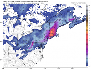 nam84 NAM Model Goes European