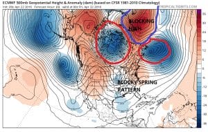 euro00 Spring Swings