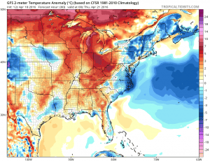 Beautiful Spring Afternoon