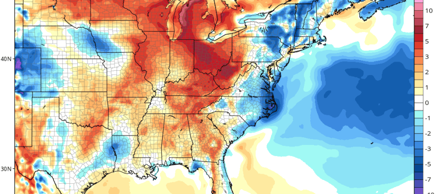 Beautiful Spring Afternoon