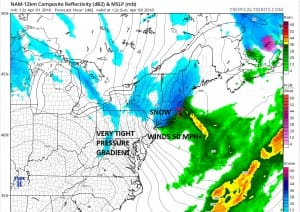 nam48 Snowfall Forecast Wind Forecast
