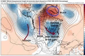 euro240 Long Range Active Cool Start to June