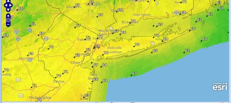 Mother's Day Afternoon Sunshine