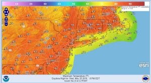 wednesday SUMMER COMES WEDNESDAY