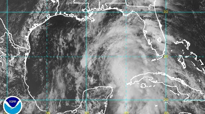 Tropical Storm Colin Warnings For Florida West Coast