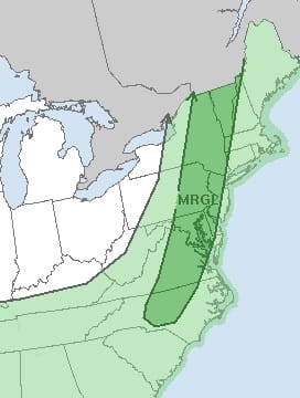Dry Monday Thunderstorms Tuesday