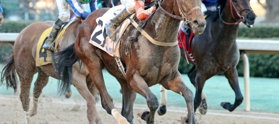 Belmont Stakes Saturday