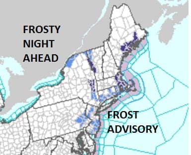 frost advisory