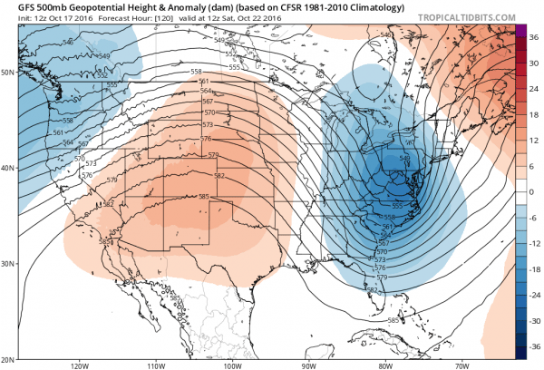 warm summery afternoon