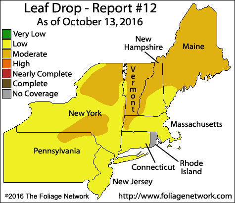 leafdrop
