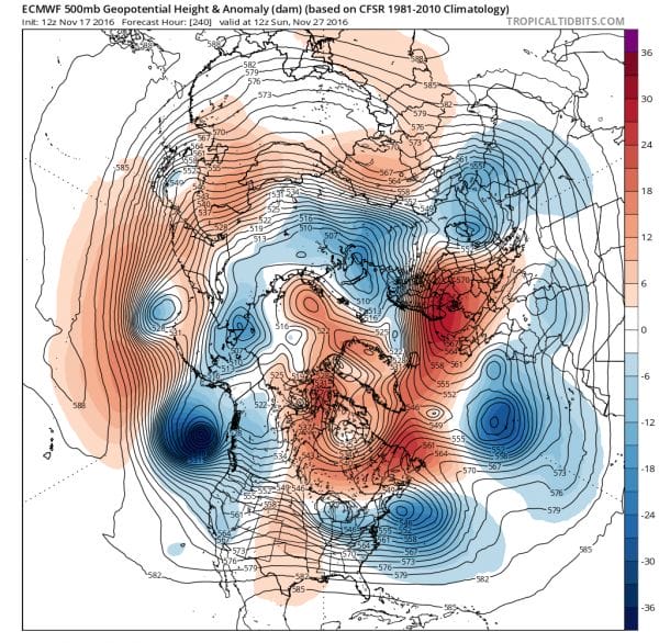 thanksgiving week weather