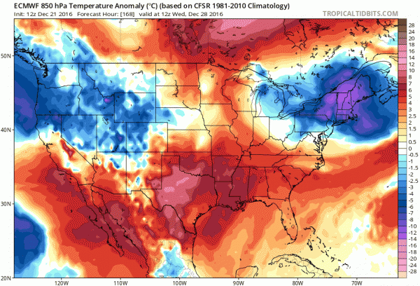 euro weather model