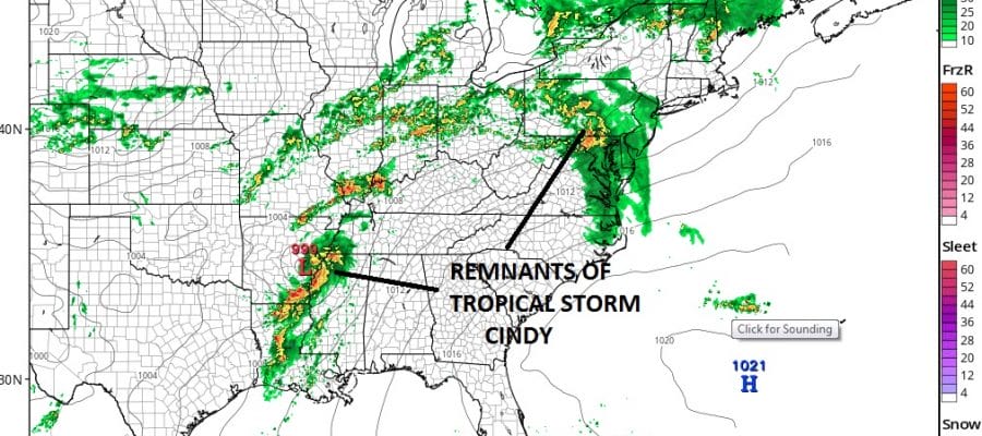 cindy remnants