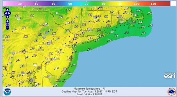 warm more humid