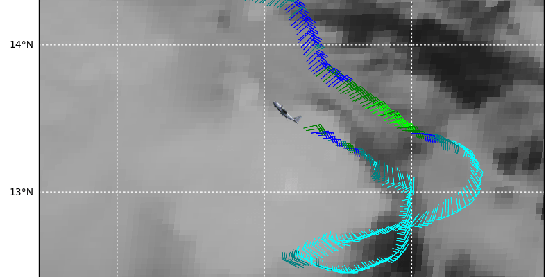 tropical storm harvey