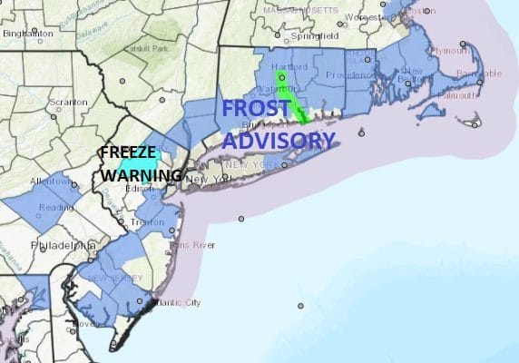 cold night frost freeze