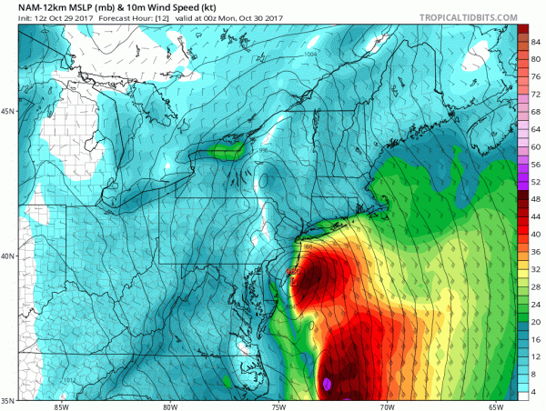 flash flood watch high wind warning