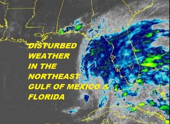 Disturbed Weather Across Florida Could Develop Next Few Days