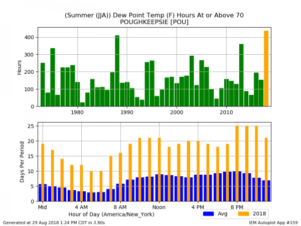 WORST SUMMER FOR HAIR IN 50 YEARS