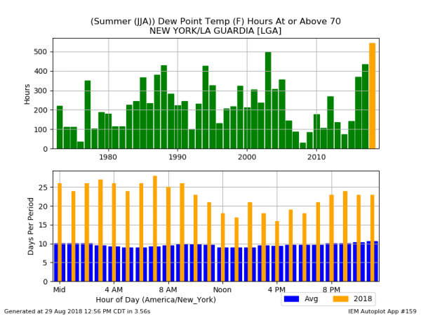 WORST SUMMER FOR HAIR IN 50 YEARS