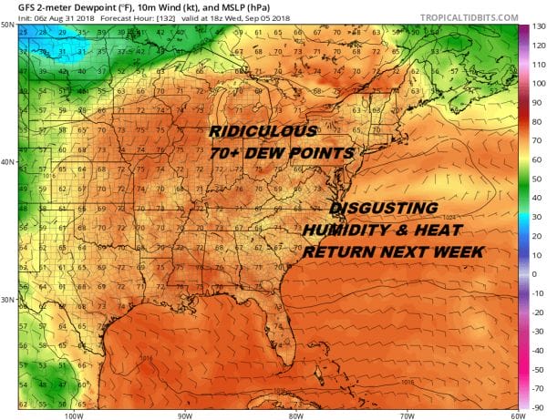 disgusting humidity heat