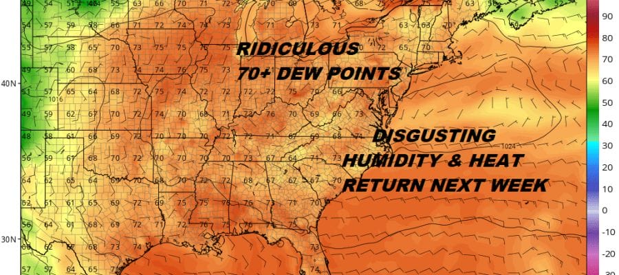 disgusting humidity heat