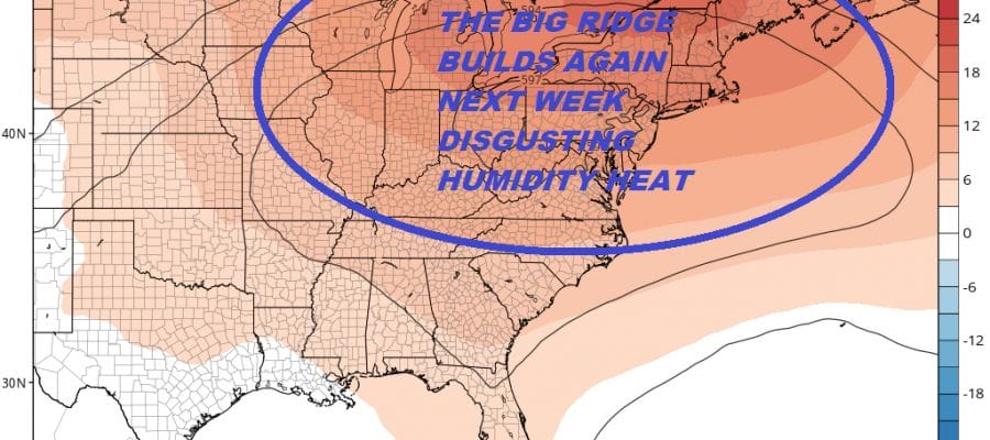 disgusting humidity heat