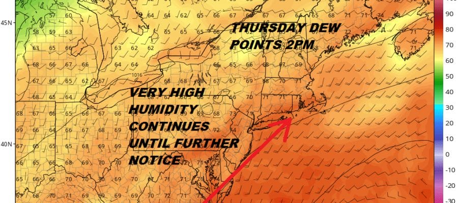 Downpours Humidity Until Further Notice