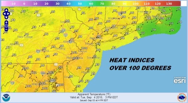 DISGUSTINGLY HOT HUMID DAY