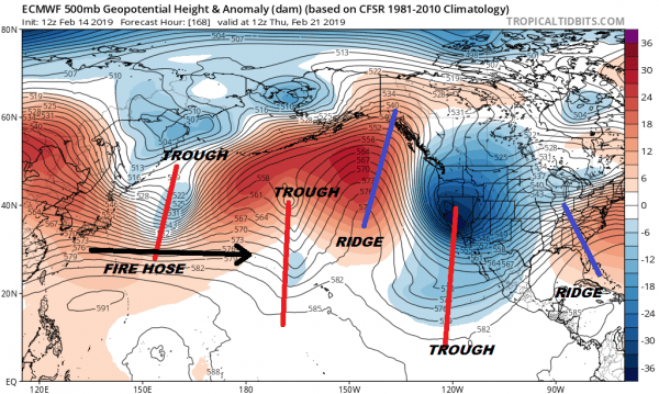 Storm Patterns Rhyme Trend Is Your Friend