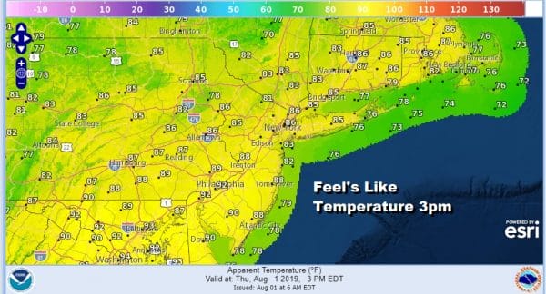 Some Sunshine Slightly Lower Humidity Next Two Days