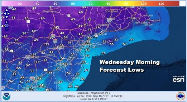 Wednesday Morning Forecast Lows