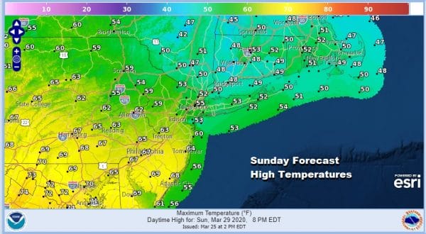 Spring Doom & Gloom Limited Sunshine Rounds of Rain