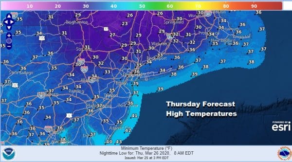 Spring Doom & Gloom Limited Sunshine Rounds of Rain