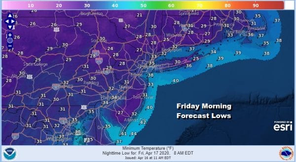 Freeze Warning Overnight Chilly Rain Late Friday into Saturday Morning