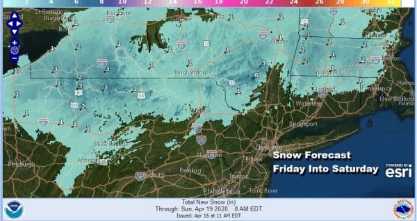 Freeze Warning Overnight Chilly Rain Late Friday into Saturday Morning